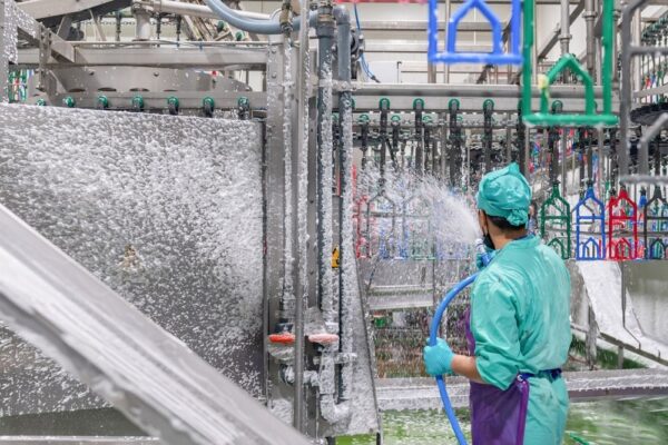Qual a importância da limpeza na indústria de alimentos?