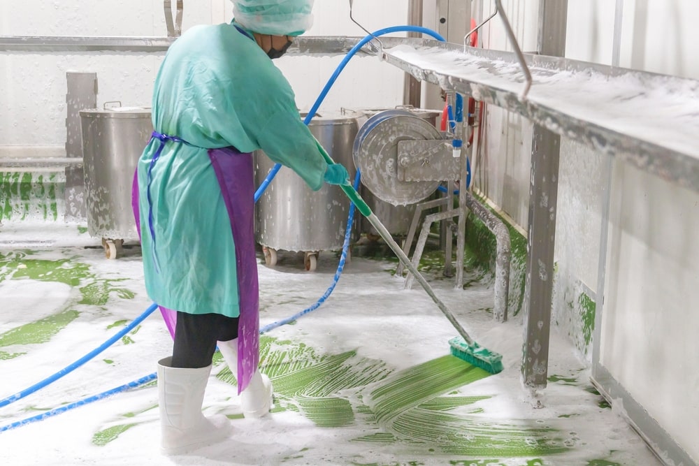Qual a importância da limpeza na indústria de alimentos?
